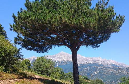 Spartan Antonis' house - Foto 38