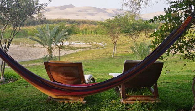 Relaxing time at the oasis