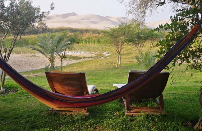 California Desert Buggy Tour & Sandboarding - Foto 6