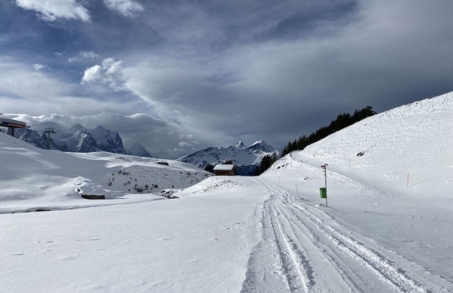 Spring Inn Apartments - Foto 56