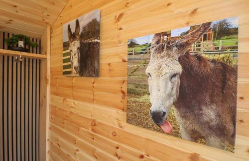 The Stable - Foto 11