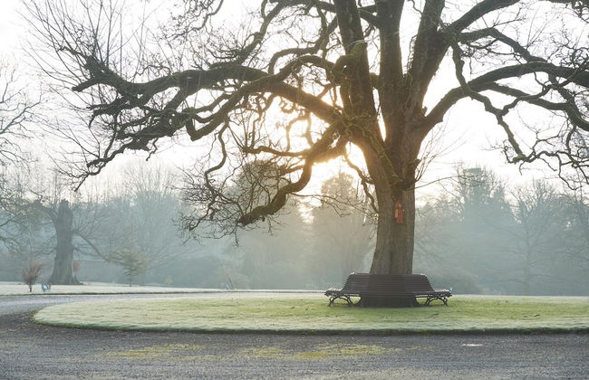 Characterful Couples Getaway in a Country Estate - Foto 13