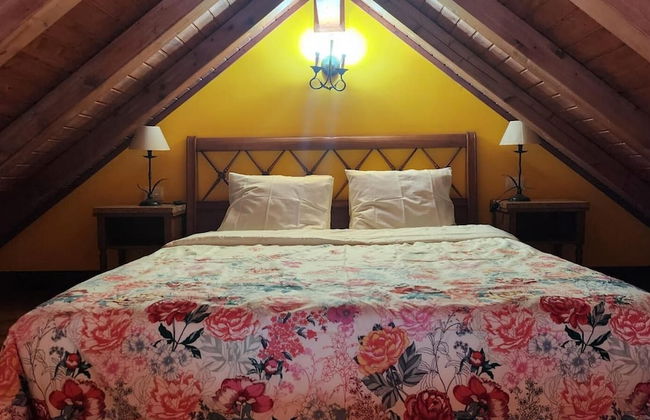 Oasis Hill Botanical Garden - Foto 3