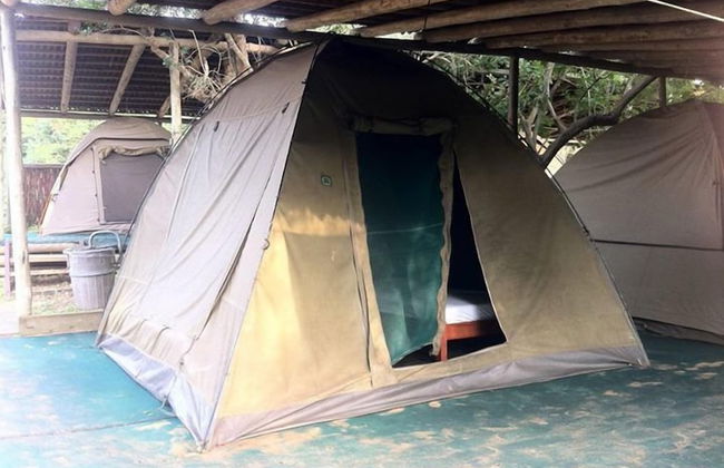 Coral Divers - Foto 10