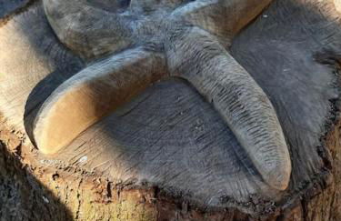 Agapè, élégant T2, 4 étoiles, plage et GR34 3km, centre ville 750m - Foto 39