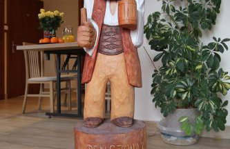 Domki Pod Magurą - Foto 25