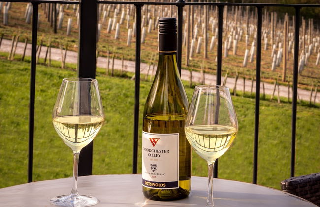 Woodchester Valley House - Foto 22