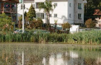 Lindo apartamento em Gramado - Photo 9