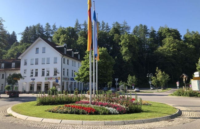 Family Apartment Bavaria - Foto 31