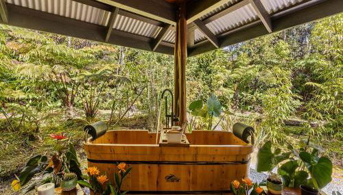 Volcano Tea House Cottage-SpaBath-HotTub-FirePlace - Foto 3, Garden, Garden view