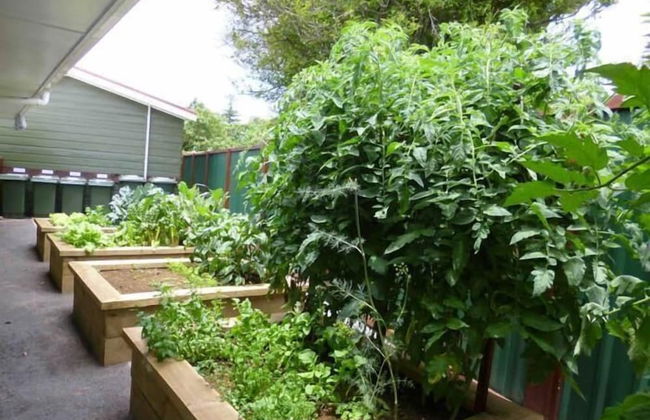 Shiralee Executive Cottages - Foto 13