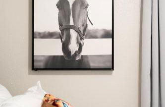 12D- In-unit Washer & Dryer - Free Parking - Fast Wi-Fi - Foto 10