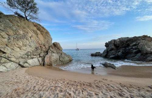 Pinzon, gezellige familievilla met groot zwembad. - Foto 77