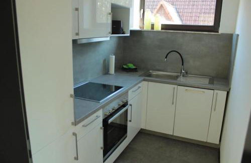 NEU! Ferienwohnung Wiesenblick - Foto 11