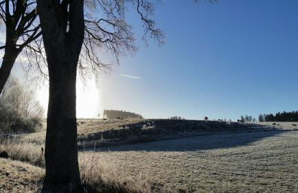 Ferien-Appartement Goldhausen - Foto 18