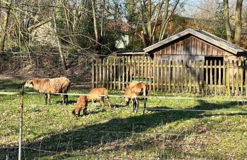 FeWo am Tillysee in Wardenburg - Foto 41