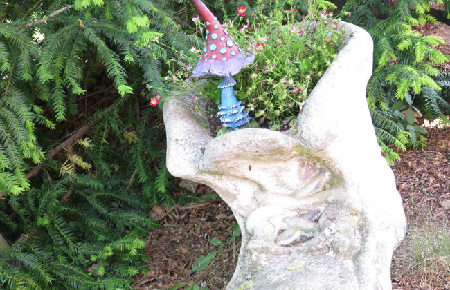 1 bedroom Apartment in Fuchshofen with garden - Photo 27