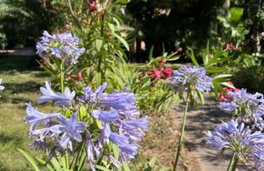 Le repaire magique - Foto 13