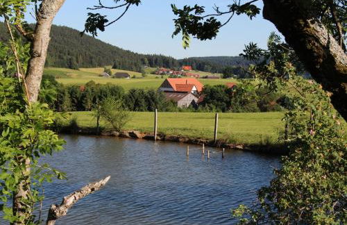 Kienbronnerhof - Foto 15