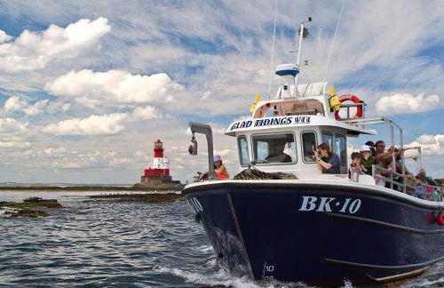 Lindisfarne View - Foto 21