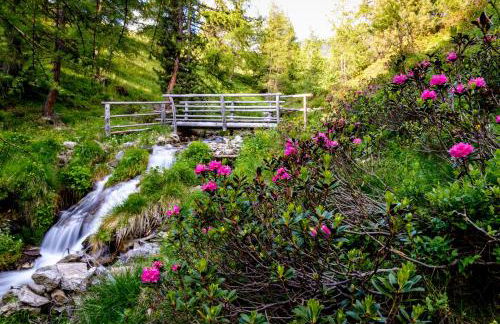 Residence Bannwald - Photo 20