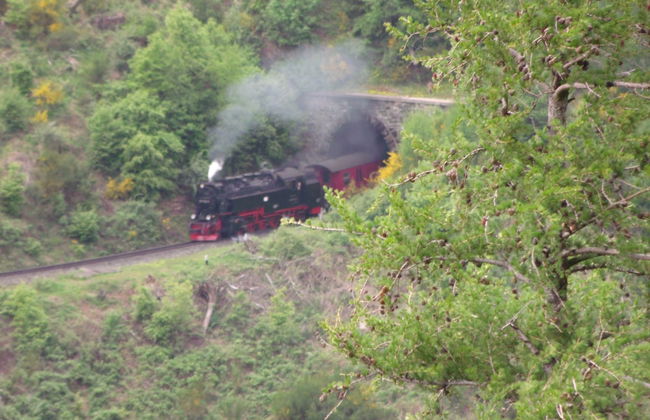 Cozy Apartment in Braunlage near Forest - Foto 37