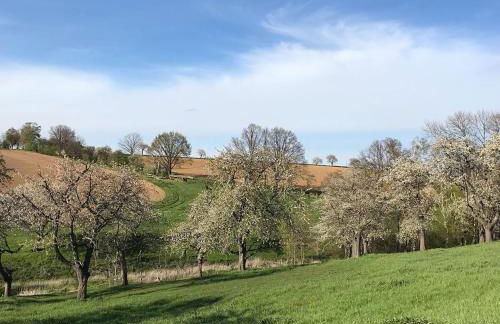 Ferienwohnung Zweinig02 - Foto 25