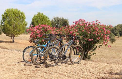 Monte da Figueira Brava - Foto 35