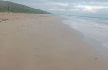 La Salicorne, maison d'hôtes. - Photo 30