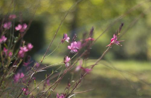 Holiday house with a parking space Graberje Ivanicko, Prigorje - 21324 - Foto 4