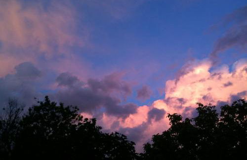 Podere Porcino - Foto 54