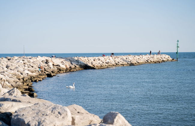 Jesolo Green Village - Foto 41