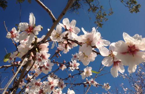 Cortijo Berruguilla - Foto 37
