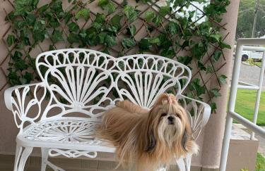 VIVENCE Rancho Mar, embarque nessa aventura! - Foto 2