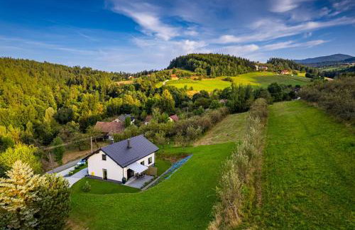 Dom Świerszczem Głośny - Foto 21