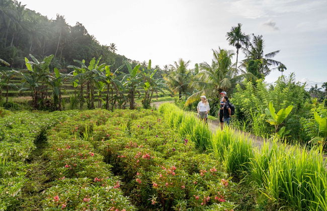 Kaura Bali - Foto 28