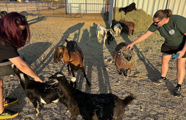 Grand Canyon Glamping Resort - Foto 26