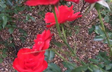 Casa El Encuentro - Turégano Segovia - Foto 10