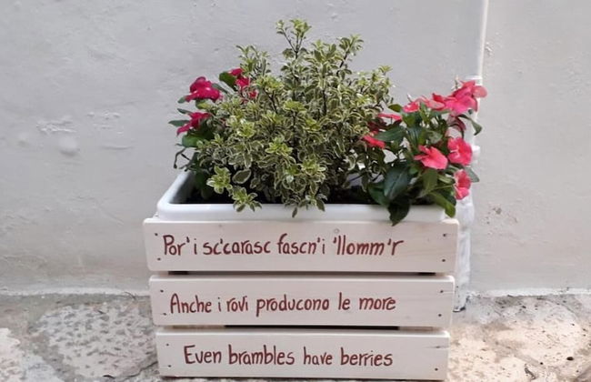 Il Vicolo B&B - Photo 49