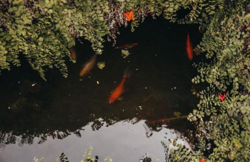 Villa Tumbine - Foto 22