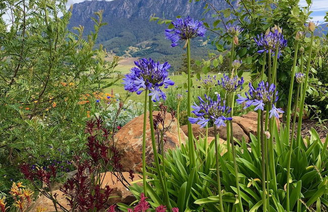 Manna Hill Farm - Foto 39