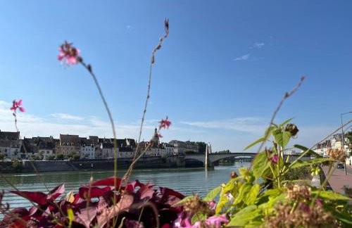 La Maison aux volets bleus 37 m3, Bords de Saône - Foto 31