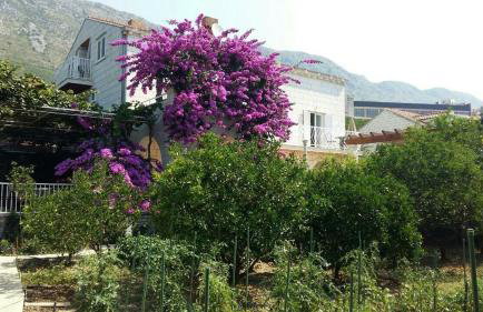 Apartments Husanovic - Foto 14