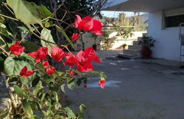 Homey Family ArtAki - Foto 30