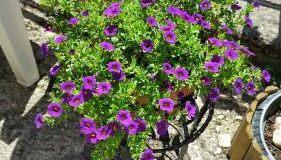 Monolocali Tra Rieti e Terminillo e lago del Salto - Foto 5