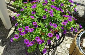 Monolocali Tra Rieti e Terminillo e lago del Salto - Foto 5