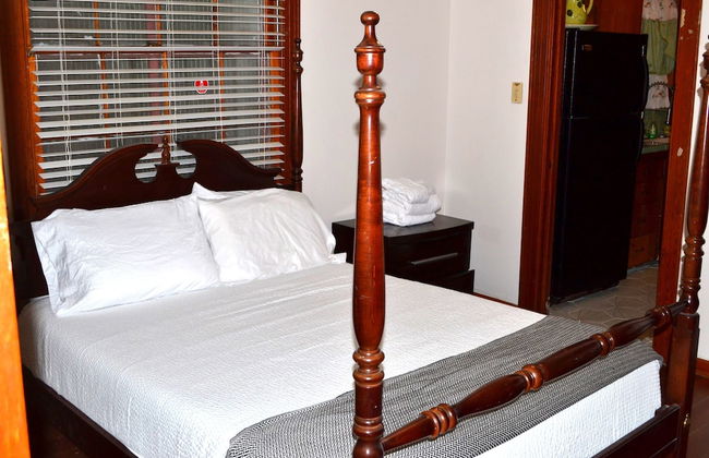 Walk to Downtown Scene - Photo 11