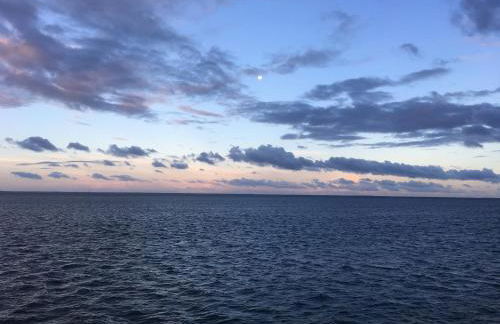 Sunny 1 Br Condo on the Water in St Petersburg, FL - Foto 47