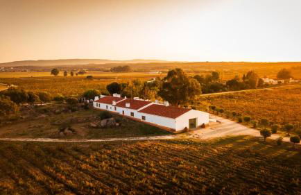 Monte das Lages - Foto 4