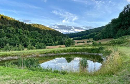 Domki w górach '' Zielone Wzgórza '' okolice Karpacza - Foto 9